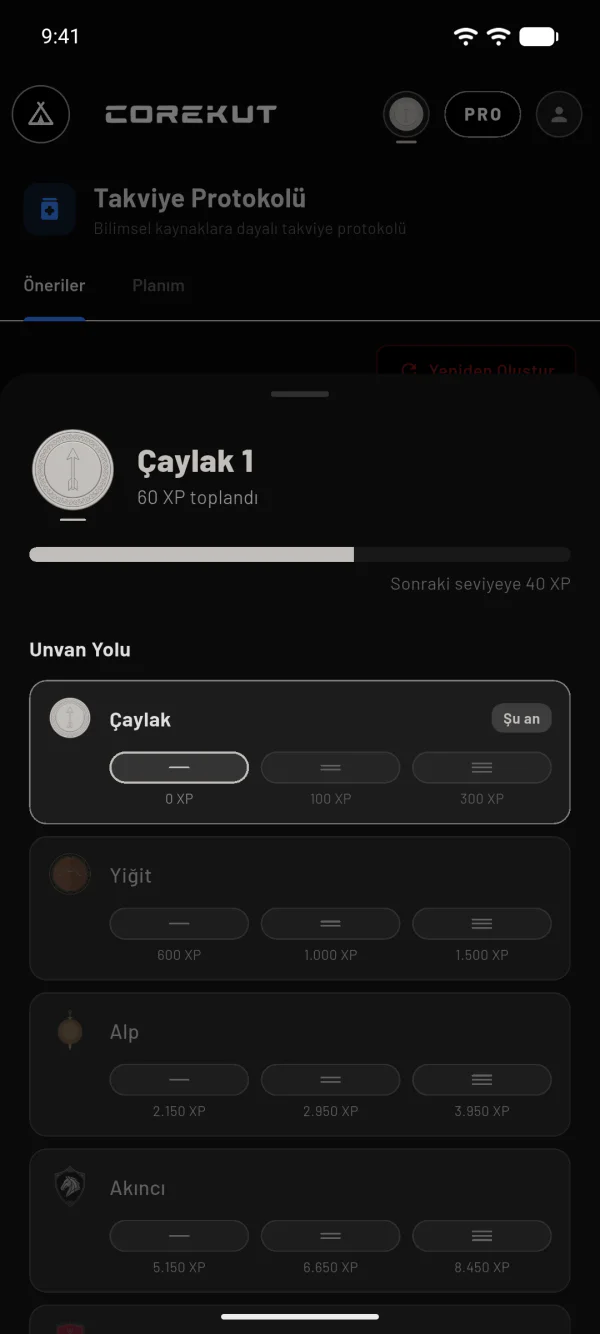 Unvan Yolu: Çaylak, Yiğit, Alp, Akıncı ve XP basamakları